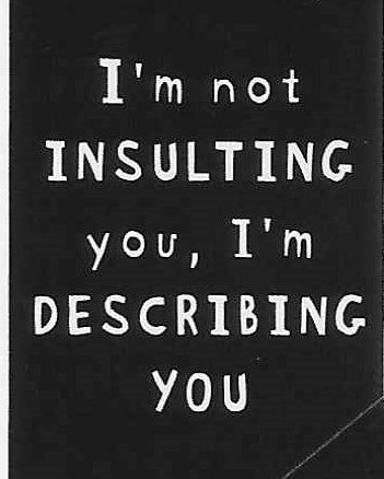 I'm not INSULTING you, I'm DESCRIBING YOU    WYS-31   UNISEX