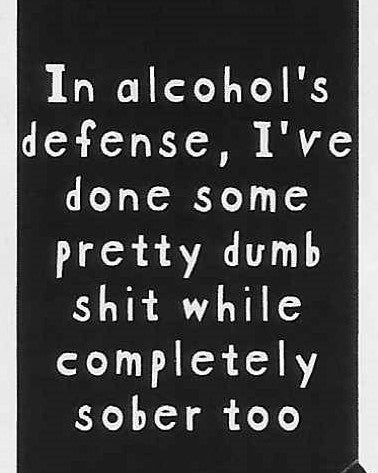 In alcohol's defense, I've done some pretty dumb shit while completely sober too    WYS-99 UNISEX