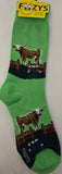 Texas Longhorn Men's Socks  FM-127  NEW