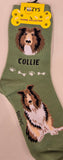 Collie Canine Collection Socks   FCC-34  ON SALE NOW
