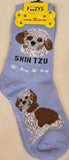 Shih Tzu Canine Collection Socks  FCC-36