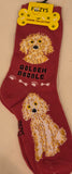 Golden Doodle Canine Collection Socks  FCC-19  ON SALE NOW