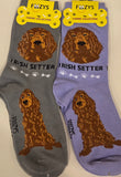 Irish Setter Canine Collection Socks  FCC-45  ON SALE NOW