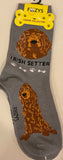 Irish Setter Canine Collection Socks  FCC-45  ON SALE NOW