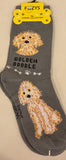 Golden Doodle Canine Collection Socks  FCC-19  ON SALE NOW
