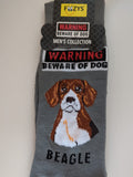 Beagle - Men's Beware of Dog Canine Collection - BOD-02