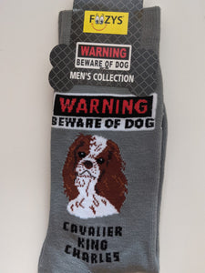 Cavalier King Charles - Men's Beware of Dog Canine Collection - BOD-07
