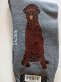 Chocolate Lab - Men's Beware of Dog Canine Collection - BOD-21