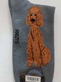 Poodle - Men's Beware of Dog Canine Collection - BOD-25