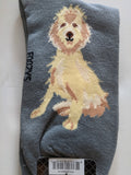 Labradoodle - Men's Beware of Dog Canine Collection - BOD-34