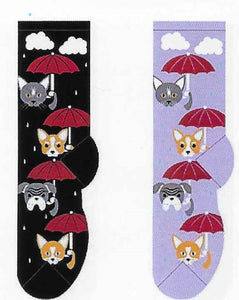 Raining Cats & Dogs Socks FC-113