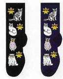 Cats & Sunglasses Socks  FC-133