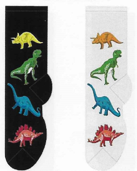 Dinosaurs Socks  FC-62