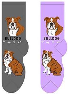 Bulldog Canine Collection Socks  FCC-07