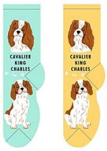 Cavalier King Charles Canine Collection Socks  FCC-08