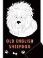 Old English Sheepdog Canine Collection Socks  FCC-14