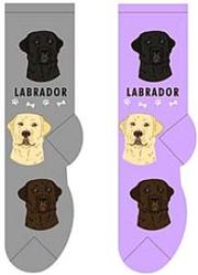 Labrador Canine Collection Socks  FCC-24