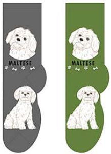 Maltese Canine Collection Socks  FCC-25