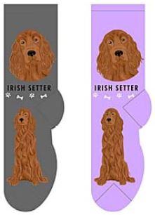 Irish Setter Canine Collection Socks  FCC-45