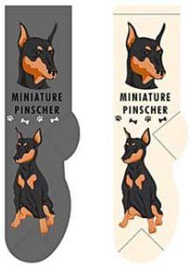 Miniature Pinscher Canine Collection Socks  FCC-46