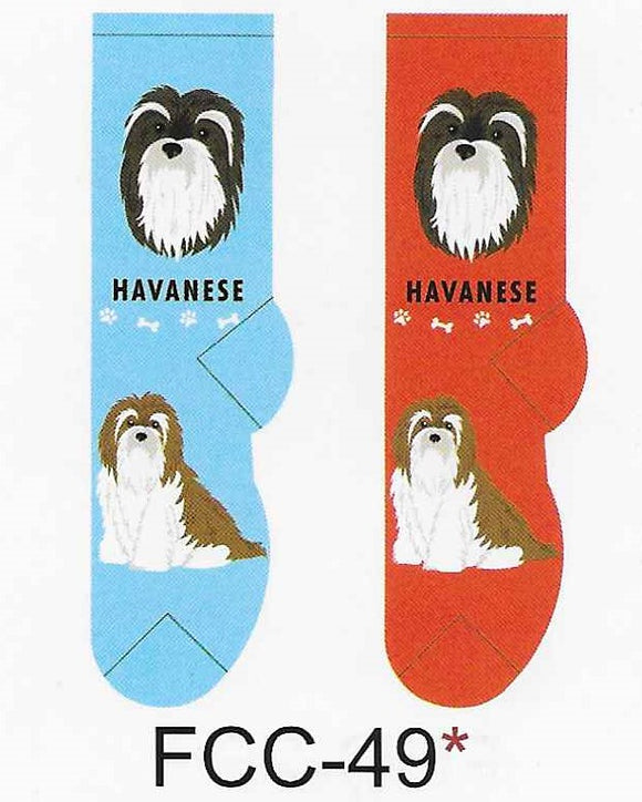 Havanese Canine Collection Socks  FCC-49