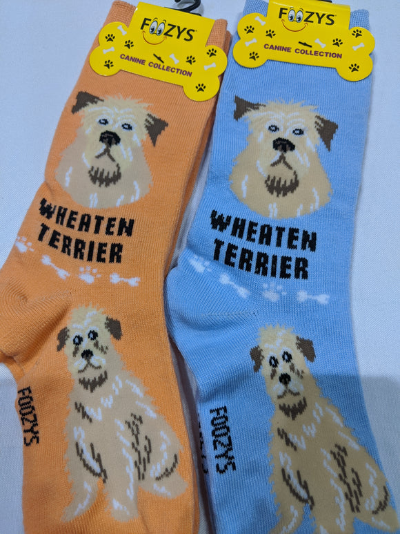 Wheaten Terrier Canine Collection Socks   FCC-54