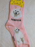 Samoyed Canine Collection Socks   FCC-76