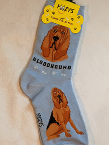 Bloodhound Canine Collection Socks   FCC-77