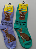 Abyssinian Feline Collection Socks   FFC-01