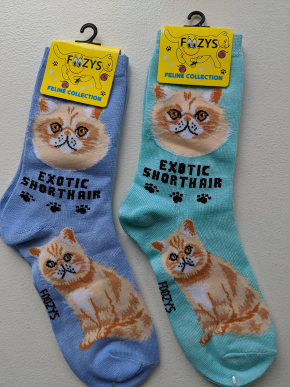 Exotic Shorthair Feline Collection Socks   FFC-09