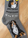 Bernese Mountain Dog Socks   FCC-43