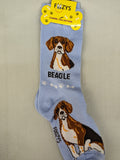 Beagle Socks   FCC-03