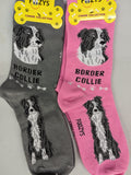 Border Collie Socks   FCC-29