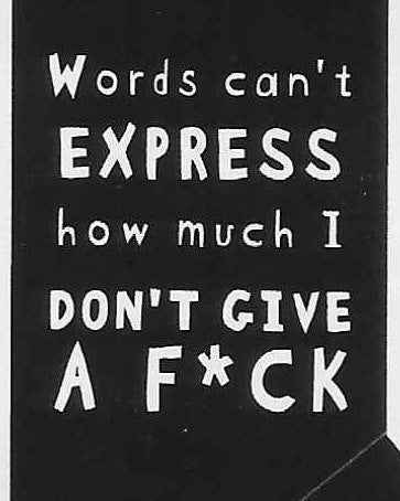 Words can't EXPRESS how much I DON'T GIVE A F*CK     WYS-18   UNISEX