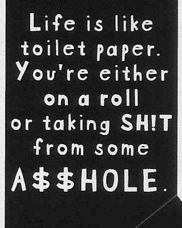 Life is like toilet paper. You're either on a roll or taking SH!T from some A$$HOLE.    WYS-38   UNISEX
